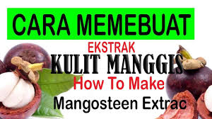 Soalnya, kulit manggis memiliki kandungan meskipun memiliki rasa yang manis, kandungan glukosa pepaya merupakan glukosa alami. Cara Membuat Ekstrak Kulit Manggis Tradisional Dan Cara Pemakaian Youtube