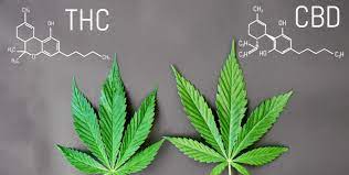 The halal foundation also considers cbd oil to be halal but advises members to do their own research and see if it cbd sits right with them. Is Cbd Oil Halal Or Haram We Answer Your Question Here Candid