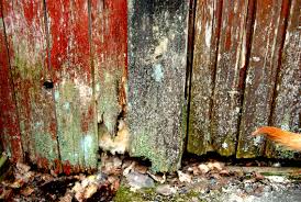 Image result for site:byggahus.se boden