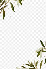 Botanical Frame Png Olive Branches Pattern Free Image By Rawpixel Com Ningzk V Olive Branch Olive Green Wallpaper Photoshop Design