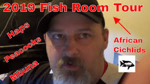 Full Fish Room Tour of our Breeding Room