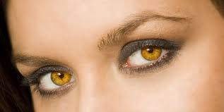 Their Eyes Glow In The Dark Gold Eyes Amber Eyes Color Amber Eyes