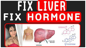 Cori cycle (with diagram) | biochemistry. Palak Notes Liver Detox In Hindi Facebook
