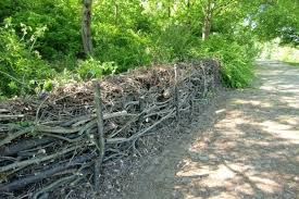 Aus Totholz Wird Neues Leben Nabu Waldgarten Landschaftsgartner Garten