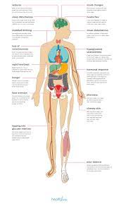 Check spelling or type a new query. The Effects Of Low Blood Sugar On Your Body