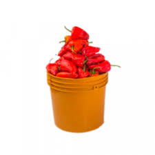 Tatashe (Custard Bucket of Tatashe)