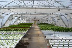 Pin On Hydro Aqua And Aeroponic Farming