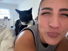 Kitten for Christmas in Miami?