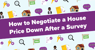When you buy a home, the seller you're buying from will probably expect you to negotiate the asking price. How To Negotiate A House Price Down After Survey House Spots