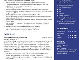 it asset manager resume sample
