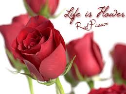 La consegna dei fiori a domicilio verrà rispettata? Consegna Di Fiori A Domicilio Vendita Fiori E Piante Online