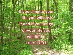Luke 17:33 | Luke 17, Scripture, Bible