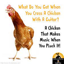 Joke Gallery Funny Jokes And Riddles Punny Jokes Cheesy Jokes