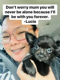 I love you My Lucio Tan Don't worry mum you will never be alone because I  be with you forever. -Lucio