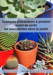 Le classement plante exterieur vous sera utile pour vous dénicher un produit qui soit à la hauteur de vos souhaits, un outil particulièrement utile pour investir en connaissance de cause. Installer Les Plantes Grasses Et Les Succulentes En Exterieur En Ete Plantes Grasses Succulentes Plante