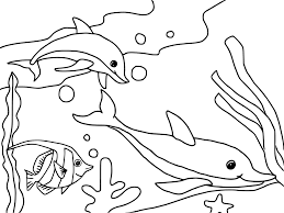 Print out animal pages/information sheets to color. Free Printable Ocean Coloring Pages For Kids