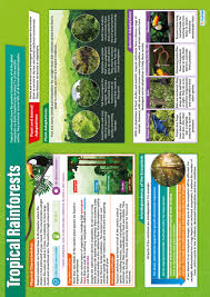 Key stage 4, geography, tropical rainforests. Tropical Rainforests Poster Geography Daydream Education