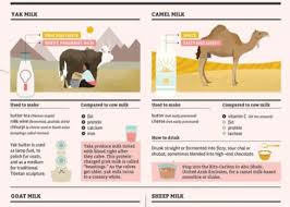 The best milk for people with diabetes. Pin On Camelicious Camel Milk