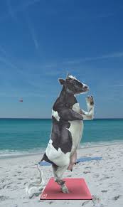 Pin By Robin Jb On Homey Animal Portraits Art Animal Art Cow Art