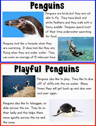 Birds That Look Like Penguins But Can Fly Kid Friendly Penguin Research Penguin Research Penguins Penguin Activities