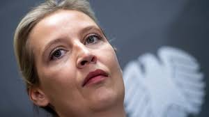 Alice weidel wants you to know that she is angry. Spendenaffare Weidel Spende Oder Afd Spende
