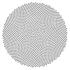 Goldenratio Png 800 800 Fibonacci Golden Ratio Fibonacci Golden Ratio