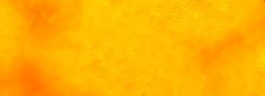 Background yellow gold abstract nature pattern color texture sunflower. Matte Texture Background Hd Matte