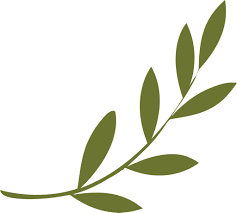 Olive Branch Olive Branch Leaf Silhouette Paper Leaves