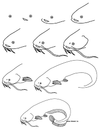 The slip sinker rig lets a catfish pick up the bait without feeling the weight of the sinker. Drawing Catfish Drawing For Beginners Koi Fish Drawing Fish Drawings