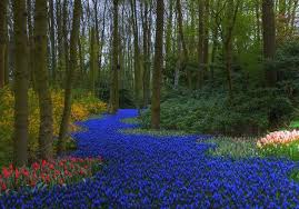 Les élèves anglophones n'auront aucun problème à trouver des cours appropriés. Le Parc De Keukenhof Aux Pays Bas Les 14 Plus Beaux Paysages Du Monde A Voir Au Moins Une Fois Dans Sa Vie Elle
