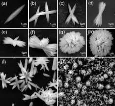 Facile Room Temperature Morphology Controlled Synthesis Of Srso4 Microcrystals Crystals Projects To Try Flowers