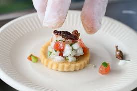 Chefs serve up gourmet insect dishes at Botanical Garden