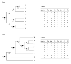 Phylogeny - Make 0/1 Character Matrix From Random Phylogenetic Tree In R? -  Stack Overflow