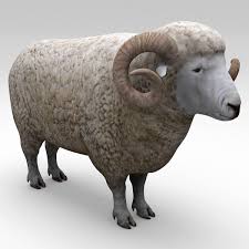 Wether Sheep 3d Max Animals 3d Model Sheep