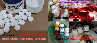 Berikut 9 cara untuk menggugurkan kandungan yang kuat dan lemah secara alami untuk usia kehamilan 1,2,3,4,5,6,7 bulan yang sudah terbukti menggugurkan janin secara cepat yang wajib anda ketahui. Jual Obat Aborsi Gorontalo Cod 0822 2531 2225 Harga Cytotec 400 Mcg Di Apotik K24 Kota Gorontalo Profile Aaui Literasi Umum