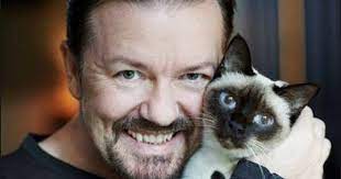 Top 10 Celebrity Cat Lovers Tabcat Com Blog Article