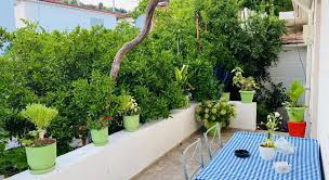 How unique is the name jemin? Jemin Apartment Berat 2021 Reviews Pictures Deals