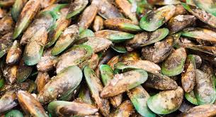 Những điều phải làm ở Auckland