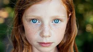 Anthropic questions AI consciousness, model welfare in new research