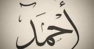 pin by a g a on اسماء hand embroidery art stylish alphabets embroidery names