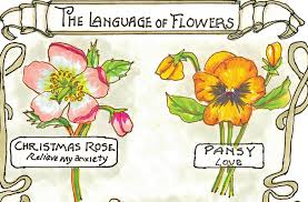 Audio previews, convenient categories and excellent search functionality make illustration. The Language Of Flowers The Laurel Of Asheville