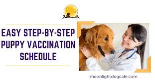 Which shots do puppies need? 2020 Dog Vaccination Schedule 101 For Canada Easy Step By Step Puppy Vaccination Schedule