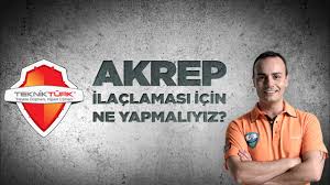 Akrep Yuvasini Nerelere Yapar Ve Nerede Yasar Teknikturk
