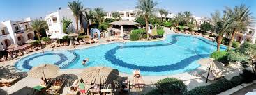 They also plan to host local food carts in the parking lot. Dive Inn Resort Sharm El Sheikh Updated 2021 Prices