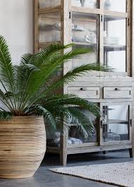 groen door planten in een landelijk interieur woonkamerplanten natuurlijke woonkamers planten