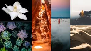 Maybe you would like to learn more about one of these? Elements And Principles Of Photography Fmopa Florida Museum Of Photographic Arts Tampa Florida