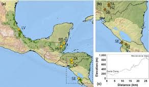 Why is it suddenly so popular? Natural Selection And Neutral Evolutionary Processes Contribute To Genetic Divergence In Leaf Traits Across A Precipitation Gradient In The Tropical Oak Quercus Oleoides Ramirez Valiente 2018 Molecular Ecology Wiley Online Library