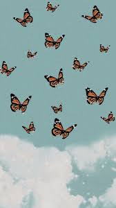 Watercolour butterflies in autumn shades screen savers. Wallpaper Butterfly Wallpaper Iphone Aesthetic Iphone Wallpaper Iphone Wallpaper Vsco