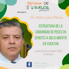 😎Atención Comunidad del DEIS en Suelos La SEMANA DE SUELOS 2020 y la 2°  EXPO SUELOS Y RECURSOS NATURALES los invita 📆El lunes 26 de octubre, desde  las 10:15 horas los siguientes