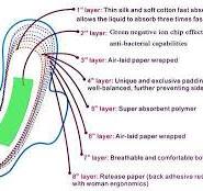 Sanitary Napkin Raw Materials